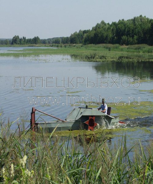 купить малька